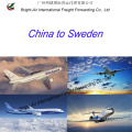 Air Freight Forwarding Agent Top Shipping Company desde China continental hasta Suecia